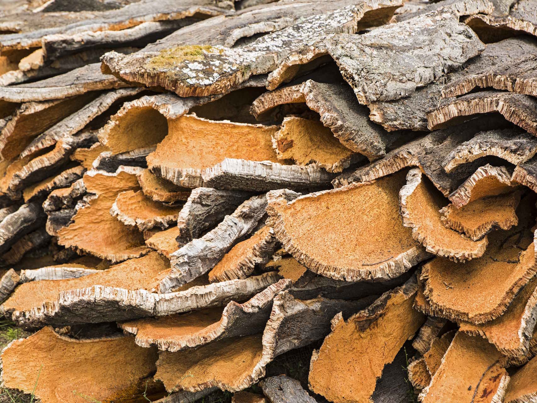 Mit der richtigen Korkboden Pflege bleibt Ihr Boden dauerhaft elastisch, warm und optisch ansprechend. Natürliche Pflegemittel und eine schonende Reinigung schützen die Oberfläche, bewahren die typische Struktur des Korks und verlängern die Lebensdauer Ihres Bodens deutlich.  Bildbeschreibung: Das Bild zeigt gestapelte Stücke natürlicher Korkrinde in verschiedenen Größen und Formen. Die Außenseite wirkt grau und rau, während die Innenseite eine warme, orangebraune Färbung hat und die typische poröse Struktur von Kork erkennbar ist.