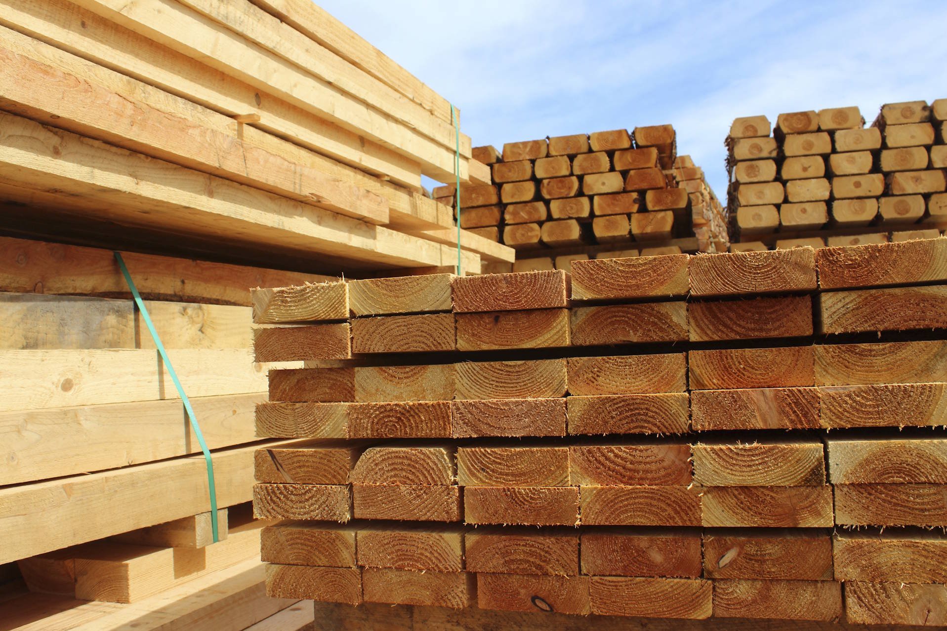 bsh-holz-altenburg.jpg