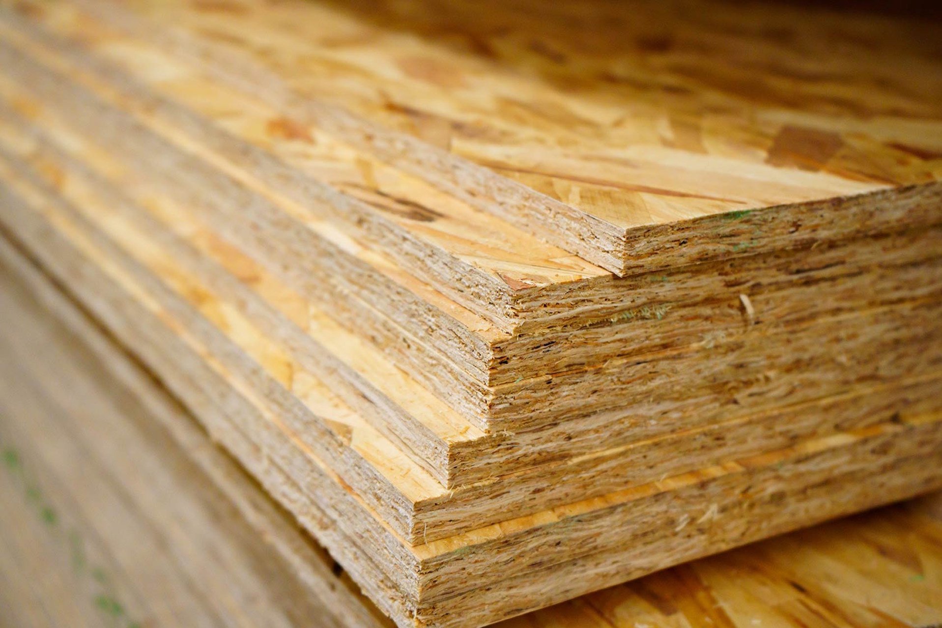 osb-platten-altenburg.jpg