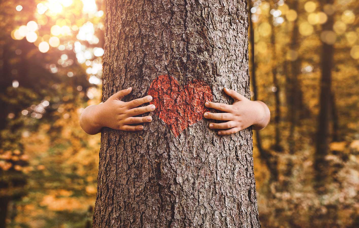 Holzstamm mit rotem Herz und Mensch, der den Baum umarmt